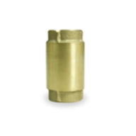 Pentair 1-in Spring Loaded Check Valve