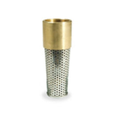 Pentair 1-in Foot Valve With Strainer